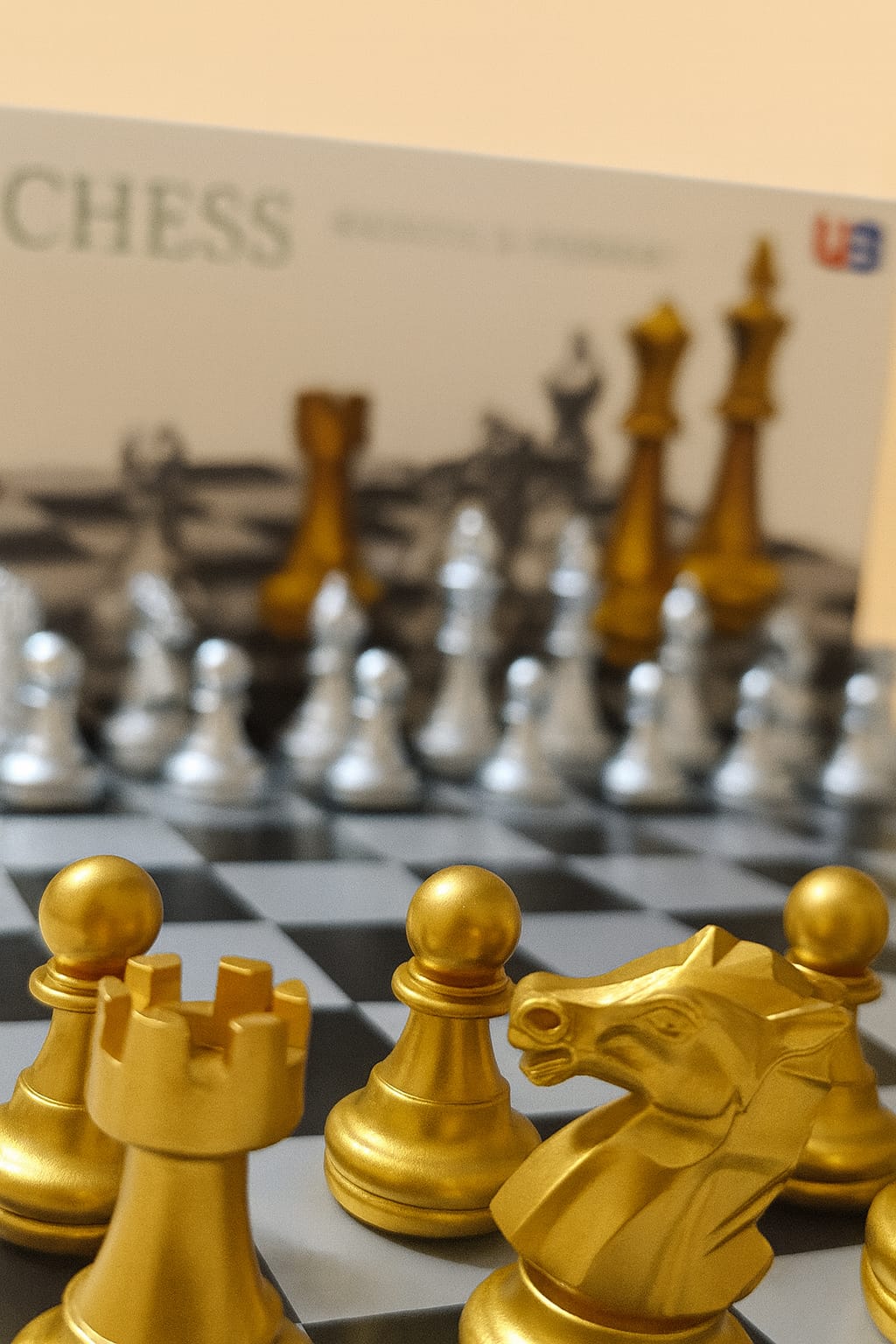 Jeu d’Échecs Haut de Gamme – Pièces Argent et Or